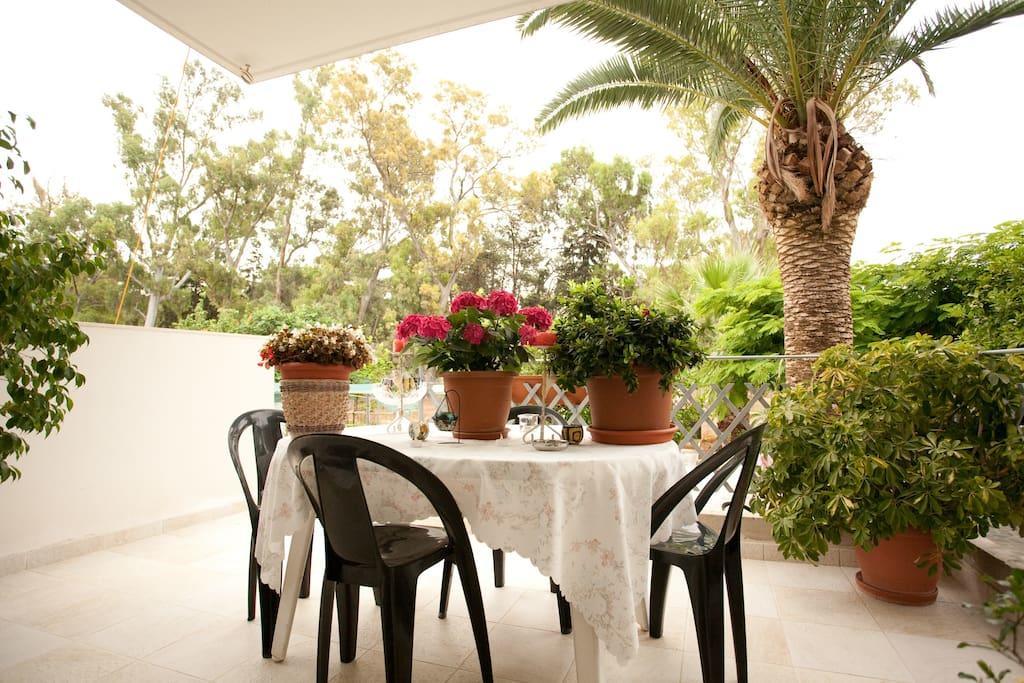 Veggie Garden Athens B&B Esterno foto