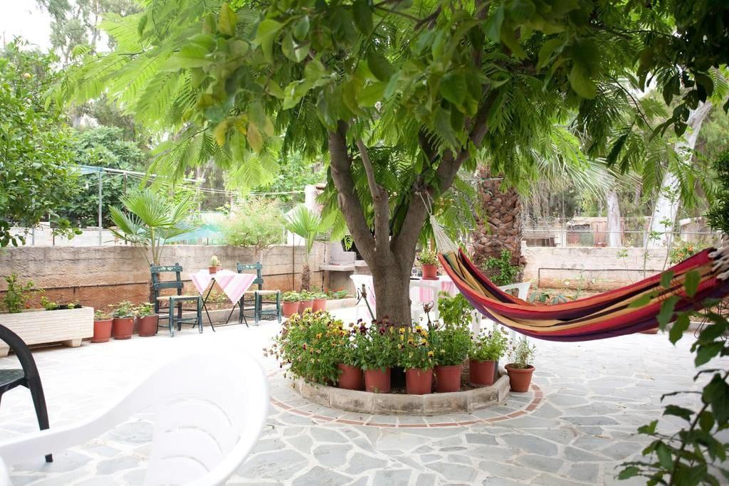 Veggie Garden Athens B&B Esterno foto