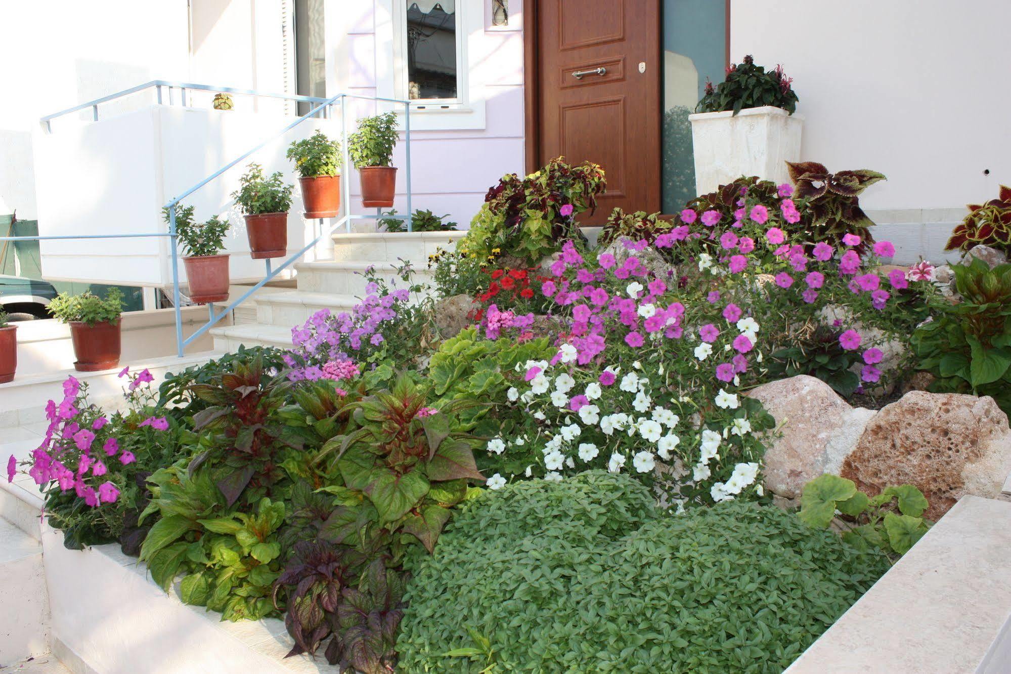 Veggie Garden Athens B&B Esterno foto