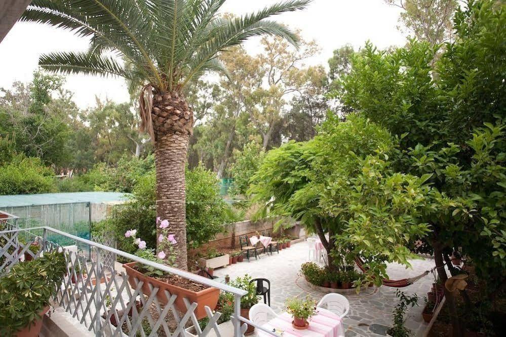 Veggie Garden Athens B&B Esterno foto